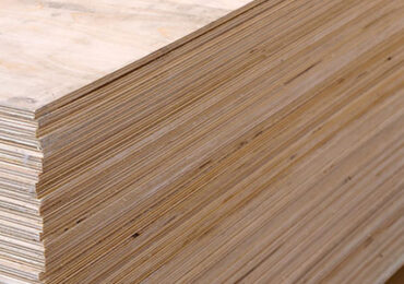 Plywood Panels for Construction and Home Building