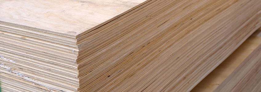 Plywood Panels for Construction and Home Building