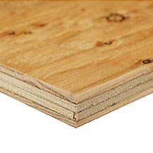 Spruce Plywood 1/2 Inch
